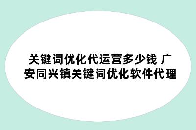 关键词优化代运营多少钱 广安同兴镇关键词优化软件代理